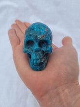 Load image into Gallery viewer, Apatite Skull