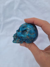 Load image into Gallery viewer, Apatite Skull