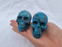 Load image into Gallery viewer, Apatite Skull