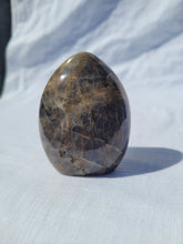 Load image into Gallery viewer, Black Moonstone Freeform