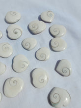 Load image into Gallery viewer, Shiva Shell Heart