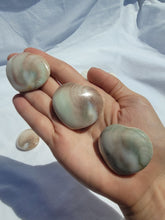 Load image into Gallery viewer, Shiva Shell Heart