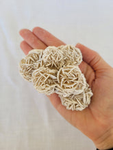 Load image into Gallery viewer, Desert Rose Selenite Cluster