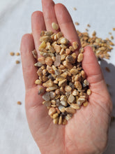 Load image into Gallery viewer, Peach Moonstone & Smokey Quartz Chips - 250grams