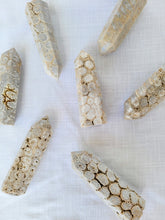 Load image into Gallery viewer, Fossilized Coral Point
