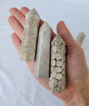 Load image into Gallery viewer, Fossilized Coral Point