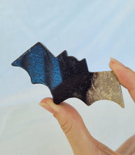 Load image into Gallery viewer, Fossilized Palm Root Bat