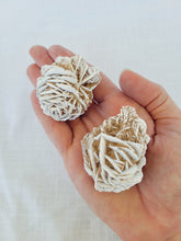 Load image into Gallery viewer, Desert Rose Selenite - Large