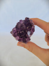 Load image into Gallery viewer, Amethyst Cluster