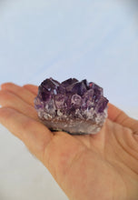 Load image into Gallery viewer, Amethyst Cluster