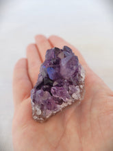Load image into Gallery viewer, Amethyst Cluster
