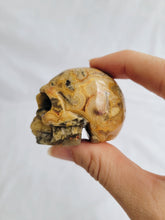 Load image into Gallery viewer, Crazy Lace Agate Skull