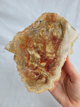 Load image into Gallery viewer, Petrified Wood Slab