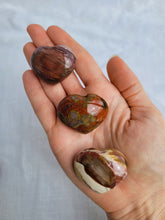 Load image into Gallery viewer, Petrified Wood Hearts