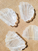 Load image into Gallery viewer, Banded Calcite Shell Trinket Dish