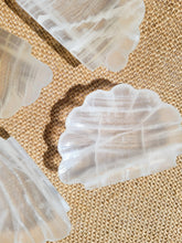 Load image into Gallery viewer, Banded Calcite Shell Trinket Dish