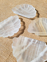 Load image into Gallery viewer, Banded Calcite Shell Trinket Dish