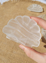 Load image into Gallery viewer, Banded Calcite Shell Trinket Dish