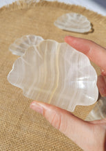 Load image into Gallery viewer, Banded Calcite Shell Trinket Dish