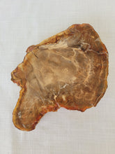 Load image into Gallery viewer, Petrified Wood Slab