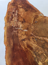 Load image into Gallery viewer, Petrified Wood Slab