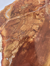 Load image into Gallery viewer, Petrified Wood Slab
