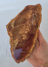 Load image into Gallery viewer, Petrified Wood Slab