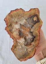 Load image into Gallery viewer, Petrified Wood Slab