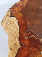 Load image into Gallery viewer, Petrified Wood Slab