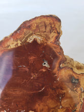 Load image into Gallery viewer, Petrified Wood Slab