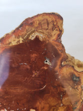Load image into Gallery viewer, Petrified Wood Slab