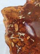 Load image into Gallery viewer, Petrified Wood Slab