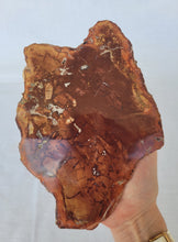 Load image into Gallery viewer, Petrified Wood Slab