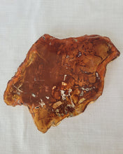 Load image into Gallery viewer, Petrified Wood Slab