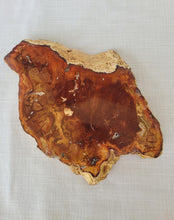 Load image into Gallery viewer, Petrified Wood Slab