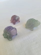 Load image into Gallery viewer, Fluorite Turtle
