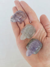Load image into Gallery viewer, Fluorite Turtle