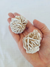 Load image into Gallery viewer, Desert Rose Selenite - Large

