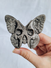 Load image into Gallery viewer, Silver Sheen Obsidian Butterfly Skull
