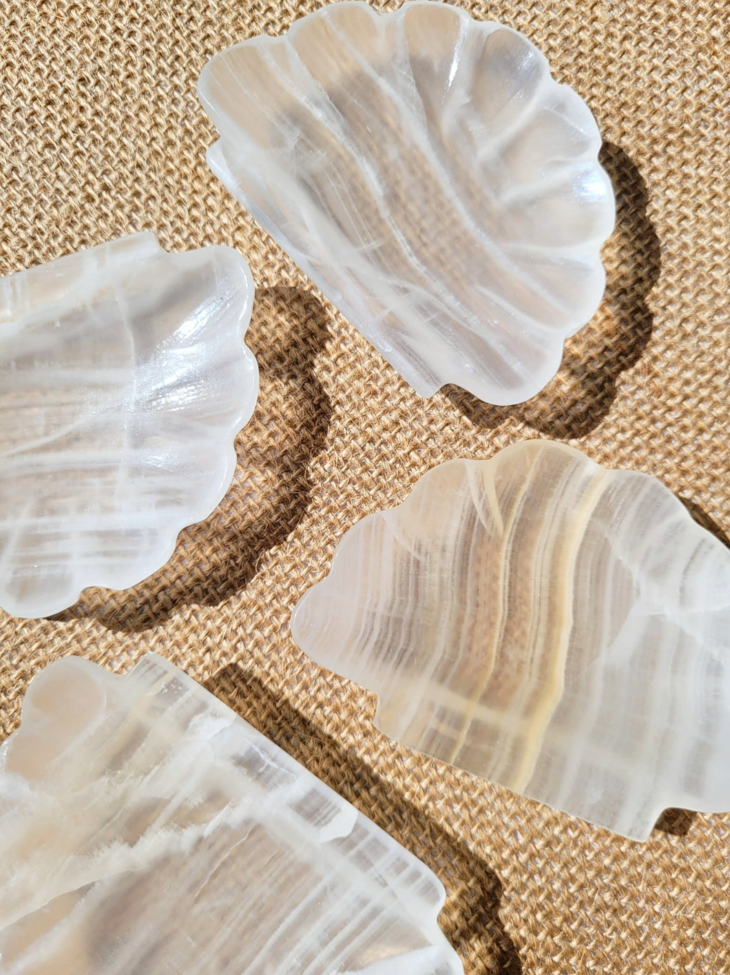 Banded Calcite Shell Trinket Dish