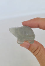 Load image into Gallery viewer, Fluorite Turtle
