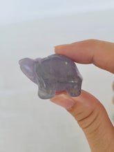 Load image into Gallery viewer, Fluorite Turtle
