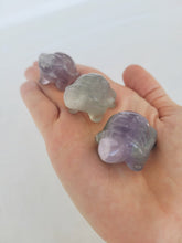 Load image into Gallery viewer, Fluorite Turtle
